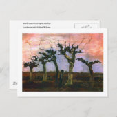 Landschap met Pollard Willows, Vincent van Gogh Briefkaart (Voorkant / Achterkant)