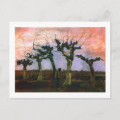 Landschap met Pollard Willows, Vincent van Gogh Briefkaart (Voorkant)