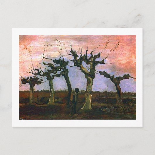 Landschap met Pollard Willows, Vincent van Gogh Briefkaart (Voorkant)