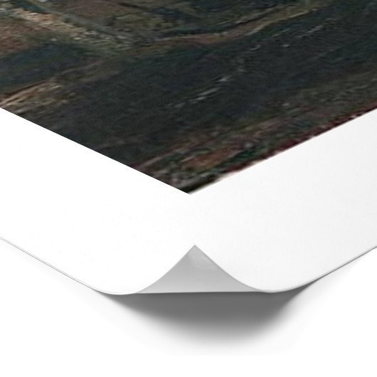 Landschap met Pollard Willows Vincent van Gogh Poster (Hoek)