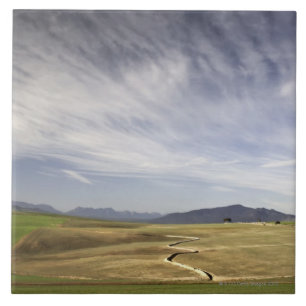 Landschap met tarwevelden, Grabouw, Western Tegeltje