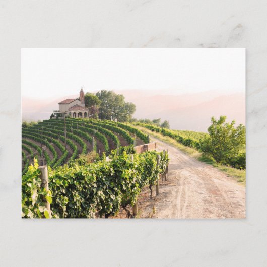 Landschap met wijngaarden en kerk briefkaart (Voorkant)