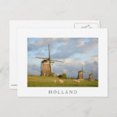Landschap met windmolens en schapen briefkaart (Voorkant / Achterkant)
