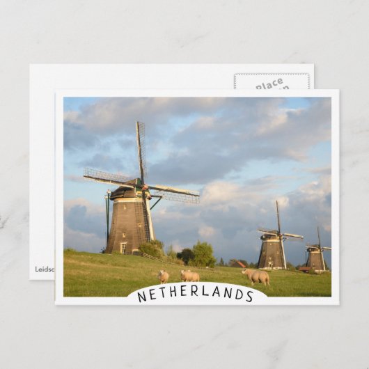 Landschap met windmolens en schapen briefkaart (Voorkant / Achterkant)