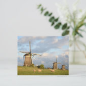 Landschap met windmolens en schapen briefkaart (Staand voorkant)