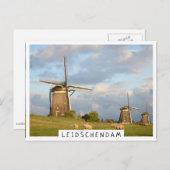 Landschap met windmolens en schapen briefkaart (Voorkant / Achterkant)