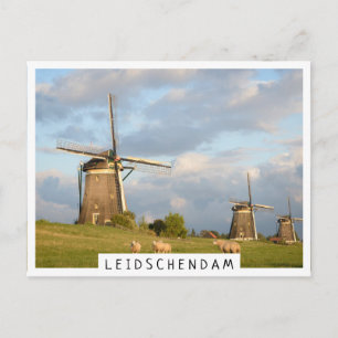 Landschap met windmolens en schapen briefkaart