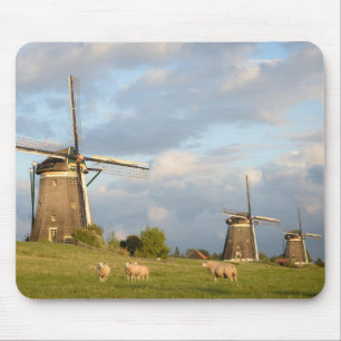 Landschap met windmolens en schapen muismat