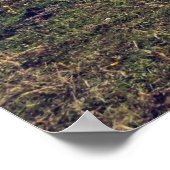 Landschap Poster (Hoek)