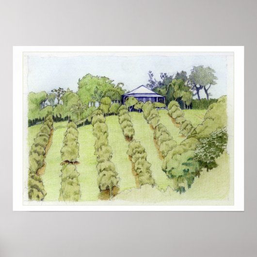 Landschap Poster (Voorkant)