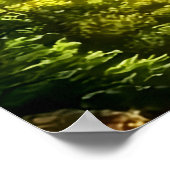 Landschap realistisch en natuurlijk poster (Hoek)