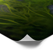 Landschap realistisch en natuurlijk poster (Hoek)