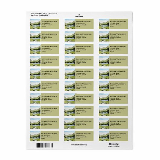 Landschap rond het Bodenmeer Etiket (Full Sheet)