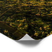 Landschap schilderachtig Montana Poster (Hoek)