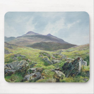 Landschap, Snowdon Muismat