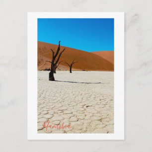 Landschap Sossusvlei Briefkaart
