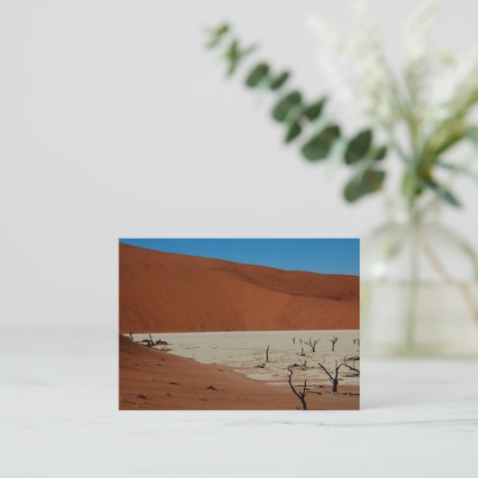 Landschap Sossusvlei Informatiekaartje (Staand voorkant)