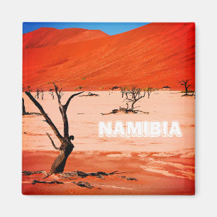 Landschap Sossusvlei Magneet