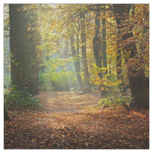 Landschap Stof (Swatch)