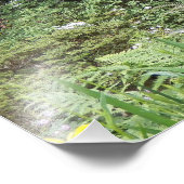 Landschap van de bostuin foto afdruk (Hoek)