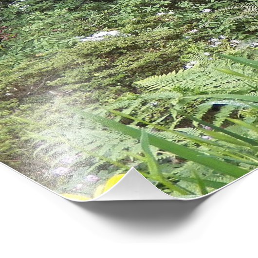 Landschap van de bostuin foto afdruk (Hoek)