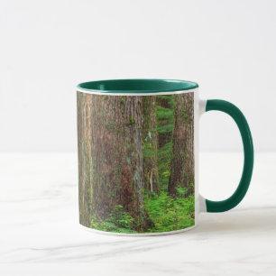 Landschap van oerbos mok