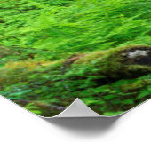 Landschap van oerbos poster (Hoek)