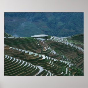 Landschap van rijstterrassen in de berg, 2 poster