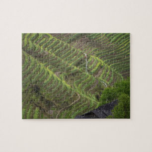 Landschap van rijstterrassen in de berg, legpuzzel