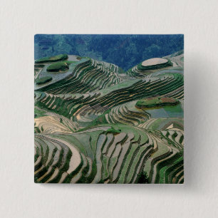 Landschap van rijstterrassen in de bergen, vierkante button 5,1 cm
