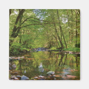 Landschap van Wilson River Magneet