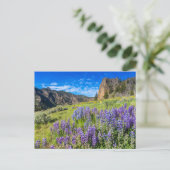 Landschap Yellowstone National Park Wildbloemen Briefkaart (Staand voorkant)