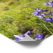 Landschap Yellowstone National Park Wildbloemen Poster (Hoek)