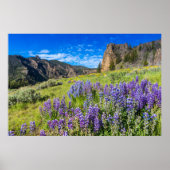 Landschap Yellowstone National Park Wildbloemen Poster (Voorkant)