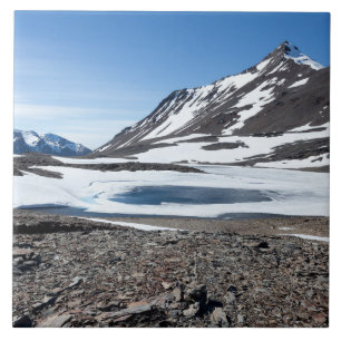 Landschap Zuid-Georgië Tegeltje