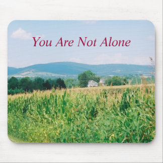 Landschap, Zuidgebergte, Middletown Valley Muismat