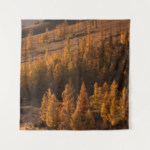 LANDSCHAPE FOTOGRAFIE VAN BROWN-LEFED TREKKEN WANDKLEED