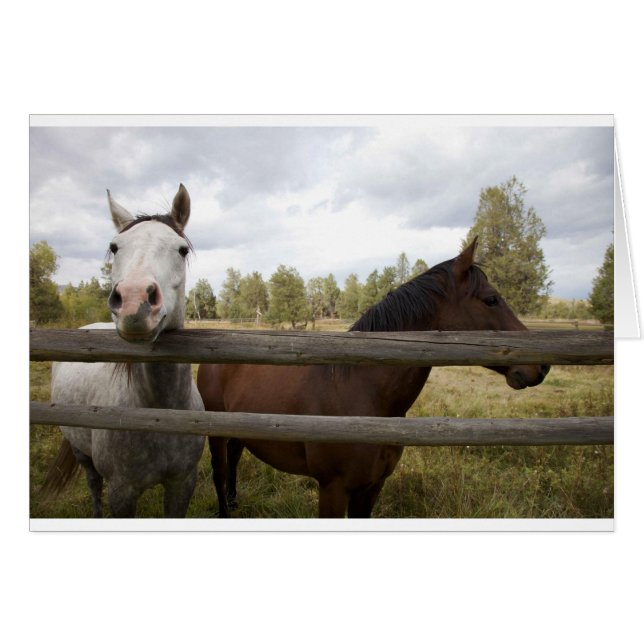 LANDSCHAPEN (Voorkant Horizontaal)