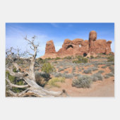 Landschapsarchitectuur in Arches National Park Inpakpapier Vel (Voorkant 2)