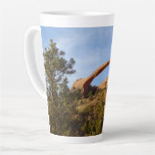Landschapsarchitectuur in Arches National Park Latte Mok (Linkerhoek)
