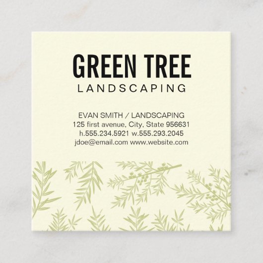 landschapsarchitectuur | Juniper Branches Vierkante Visitekaartje (Voorkant)