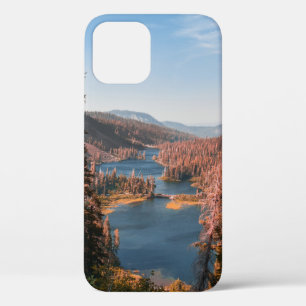 LANDSCHAPSFOTO VAN BOMEN NAAR HET WATERLICHAAM TIJ iPhone 12 HOESJE