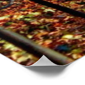 Landschapsfoto van het Central Park Conservatory Poster (Hoek)