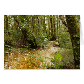 Landschapskaarten, balroom Forest Cradle Mountain