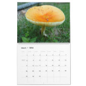 Landschapskalender 2018 kalender (Mar 2026)