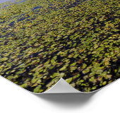 Landschapswater Poster (Hoek)
