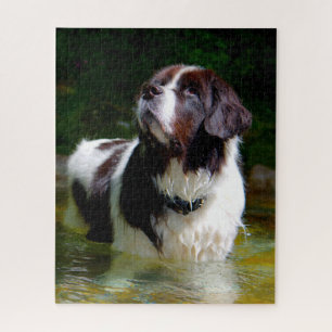 Landseer Dog. Legpuzzel