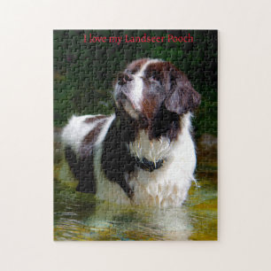 Landseer hond. legpuzzel