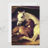 Landseer Horses Kaart (Voorkant)