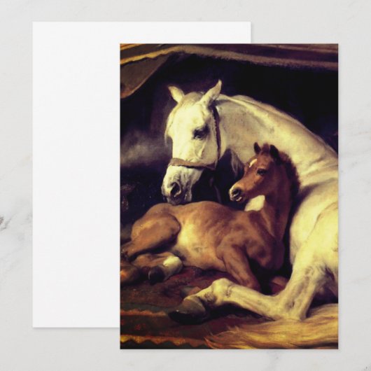 Landseer Horses Kaart (Voorkant / Achterkant)